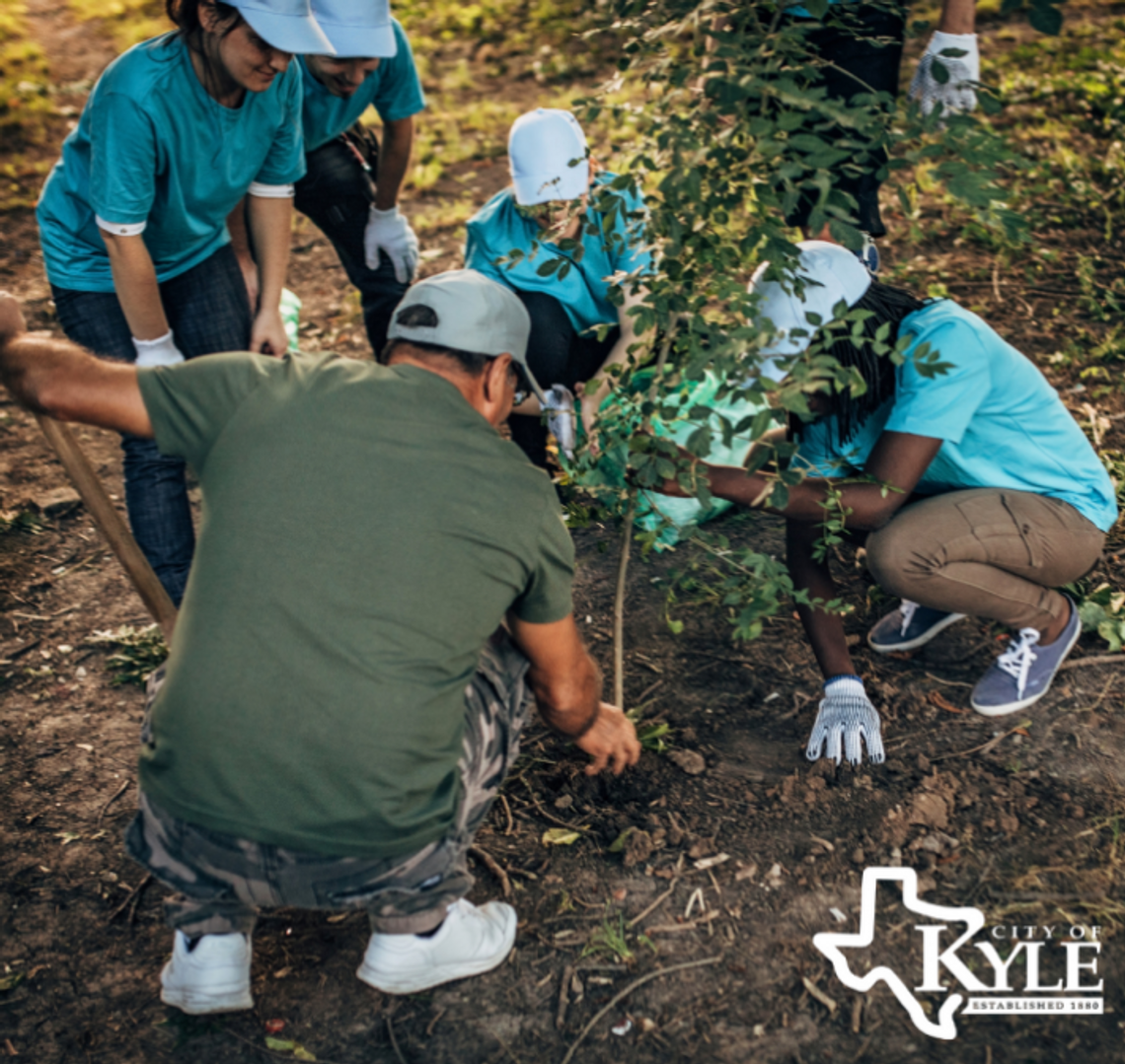 Volunteers needed to plant trees in Kyle parks 