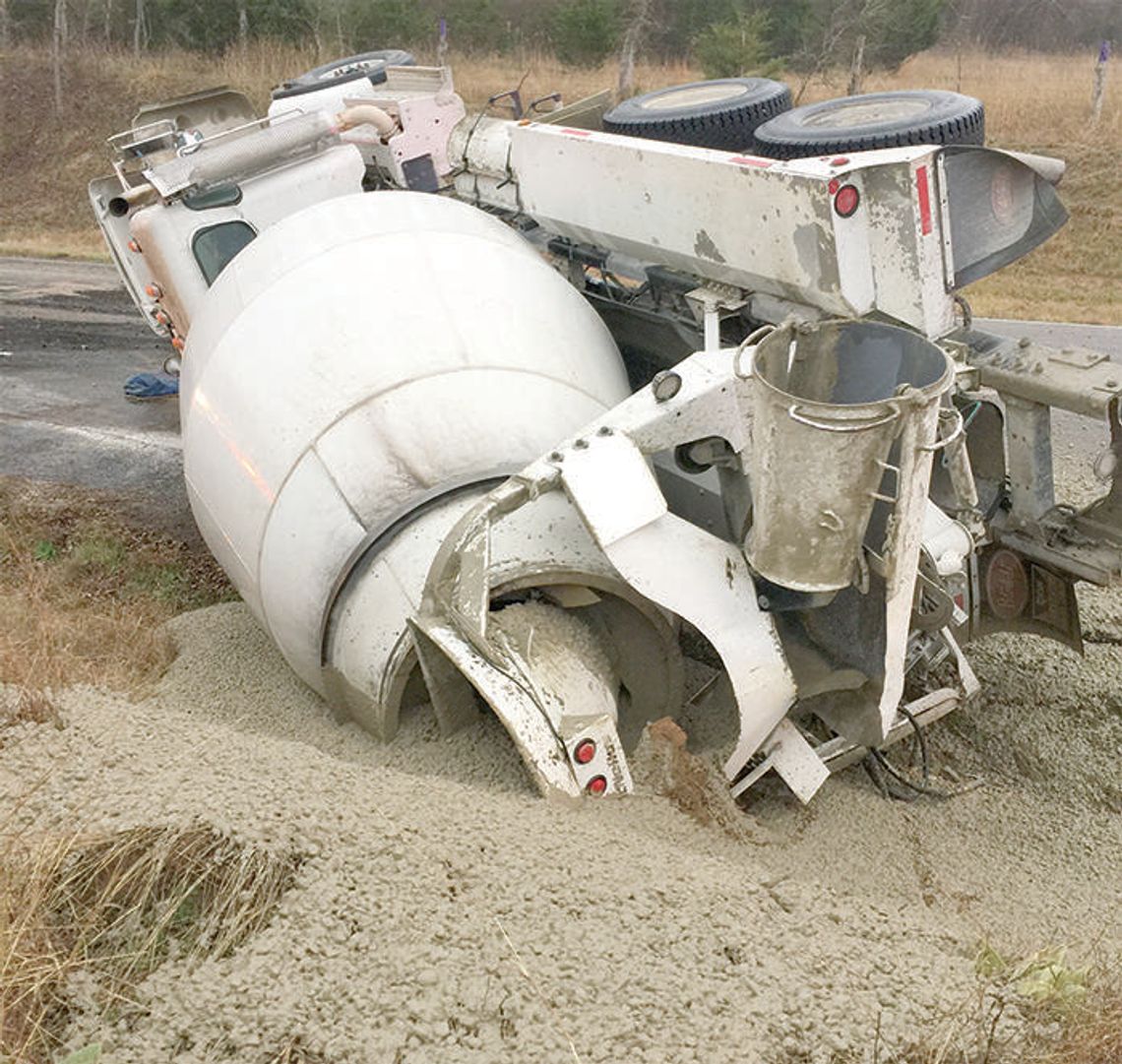 Whoa, Nellie! Horses rescued in FM 150 wreck