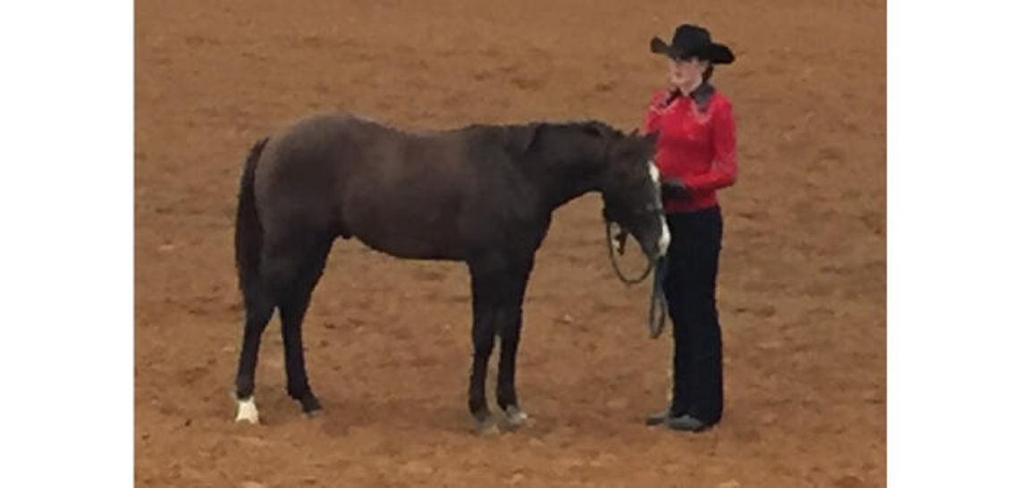 WHS student earns participation in unique horsemanship program