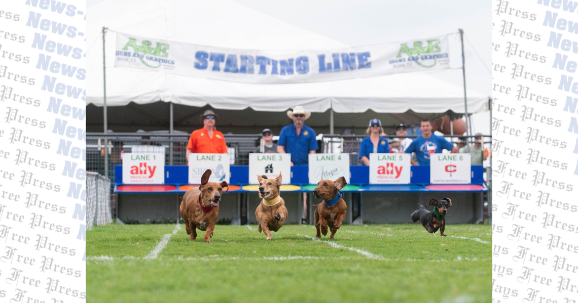 Wienerman spotted at Buda's 2026 Wiener Dog Races