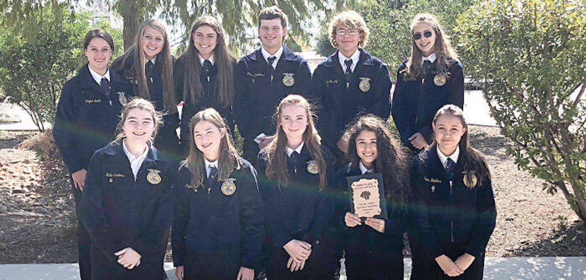 Wimberley FFA raising money for convention with plant sale