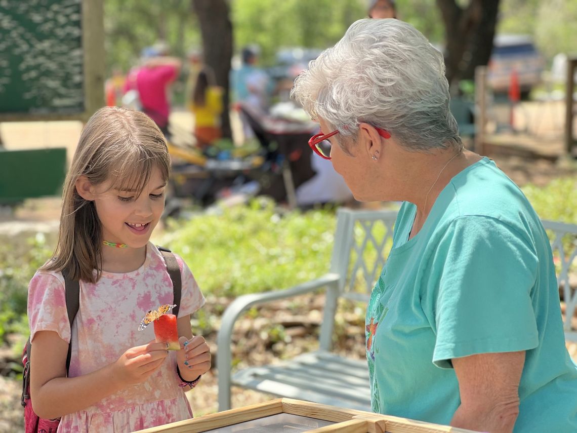 Wimberley's butterflies in bloom