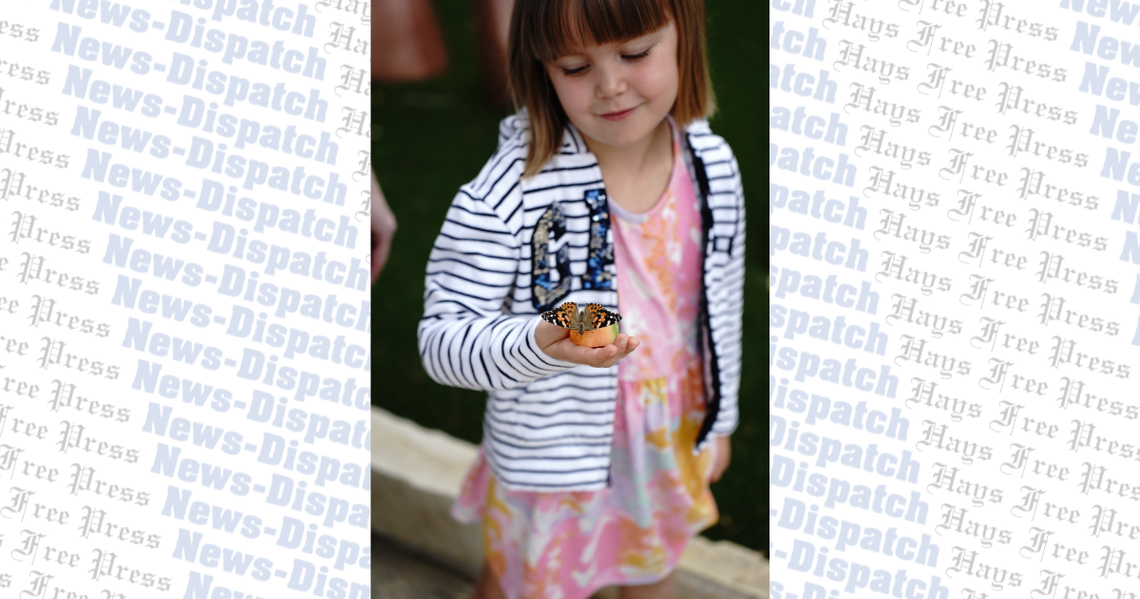 Wings aplenty at EmilyAnn's 26th annual Butterfly Festival